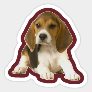 Puppy Sticker